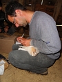 20110617 RINGING FOUR BABY OWLS AT LE BOSQUET 04